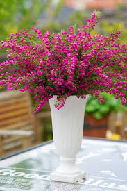 Everyday Simple Statements Pretty Flowers Beautiful Flowers Beautiful Flower Arrangements
