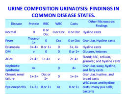 Erythrocytes In Urine Normal Range Reversing Type 2 Diabetes