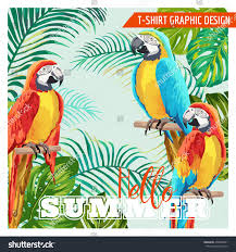 Birds That Start With The Letter T Tropical Graphic Design Parrot Birds Flowers Stock Vector