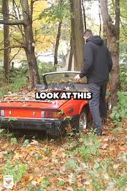 Image result for Spitfire Orange 1979 Colt