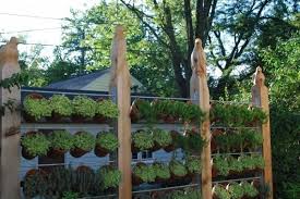 Diy garden started as a simple garden blog. 26 Diy Garden Privacy Ideas That Are Affordable Incredible Balcony Garden Web