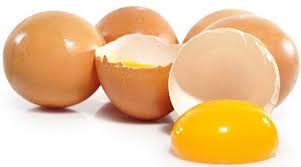 bebegini yumurta alerjisinden korumak annenin elinde