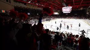 Putas vertice sevilla