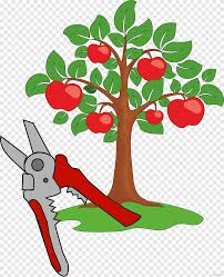 We did not find results for: Pohon Buah Apel Apel Makanan Cabang Png Pngegg