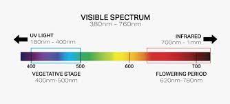 Grow lights that are configured with this method will not only provide your plants with the ideal balance of light needed for robust growth but will have the highest yield per watt. Grow Light Spectrum Explained Ideal Led Spectrum For Plants