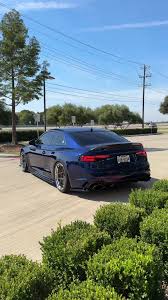 Image result for Navarra Blue 2019 RS5