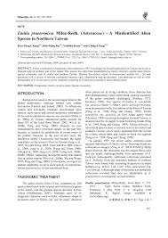 Image result for Emilia debilis