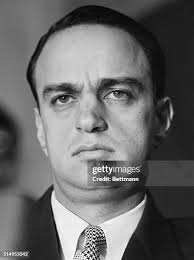 341 Roy Stevens Photos & High Res Pictures