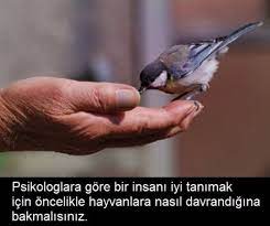 psikologlara gore bir insani iyi tanimak icin once hayvanlara nasil davrandigina bakmalisiniz psikoloji ozlu sozler gercekler