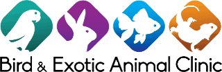 Highly recommend for any exotic pet. if you've got reptiles, this is the place to go, great staff and knowledge. the doctor is amazing! Home Bird And Exotic Animal Clinic