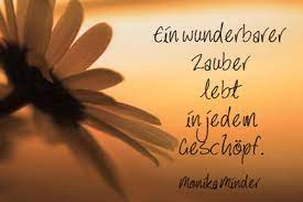 Spruche Leben Kurze Zitate Schone Weisheiten Zum Nachdenken Und Schenken