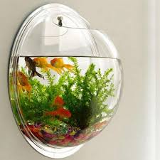 Acrylic Fish Bowl Wall Hanging Aquarium Tank Aquatic Pet Supplies Pet Products Wall Mount Fish Tank For Betta Fish Acry In 2020 Mini Aquarium Fish Bowl Fish Tank