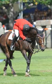 A dutch warmblood, hickstead was 16 hands. Godspeed Hickstead Equestrianism