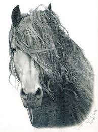Fire By Nori Bucci Horses Horse Drawings Horse Painting