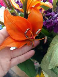 Find 311 listings related to sanford florist in san antonio on yp.com. Florist Madason Flowers Reviews And Photos 7117 Blanco Rd San Antonio Tx 78216 Usa