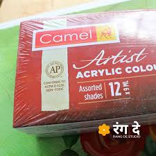 Artists Acrylic Colours Set Camlin Rang De Studio
