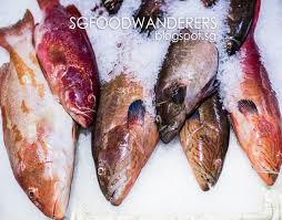 Guide for the night, han bin, together with his colleagues, led an hour+ long informative and insightful tour of the port and fish market that hai sia calls home. Seafood Wholesale At Jurong Fishery Port F O O D W A N D E R E R S