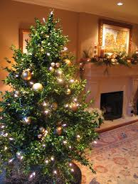 Forget Me Not Flowers, Oakville, Frank Rea, Christmas Decor, Home Decor,  Christmas Decorations, Holiday Homes, Miniature Christmas Tree, Silver and  Gold, Mantelpiece, Fireplace, Garland