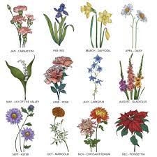 Birth Flowers Birth Flowers Birth Flower Tattoos Birth Month Flowers