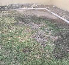 Maybe you would like to learn more about one of these? Bermuda Problems Hard Compacted Soil The Lawn Forum