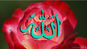 Allah names wallpapers apk photos/media/files: Sagar Name Wallpaper Garden Roses Petal Rose Flower Red 609820 Wallpaperuse