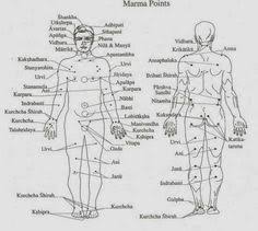 image result for marma points chart acupressure ayurveda