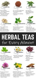Herbal Recipes There Are Many Ways To Use Herbs And They Re Easy To Grow Even If You Live In A Small Apartment Becaus Herbal Recipes Herbalism Herbal Medicine