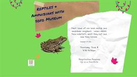 Reptiles and Amphibians with SOFO Museum