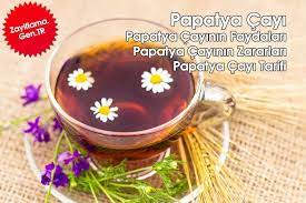 Papatya Cayinin Faydalari Saglikli Yasam Saglikli Diyet