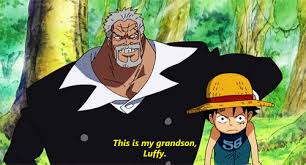 Animated gif about gif in one piece by roronoasaki. 48 Monkey D Luffy Gifs Gif Abyss