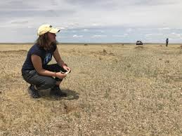 Image result for Emilia tessmannii