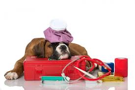 Pet emergencies can happen at any time, but not every hospital is open 24/7. Emergency Vet Near Me Pet Emergency Dog Emergency Pet Injuries