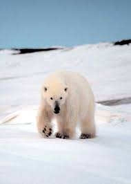 Environment and Health International 2003 (2)