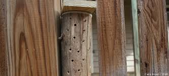 Maybe you would like to learn more about one of these? Build A Bee House Nwf Ranger Rick