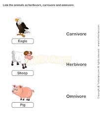 Food Chain Worksheet 9 Science Worksheets Grade 2 Worksheets Food Chain Worksheet Science Worksheets Summer Science