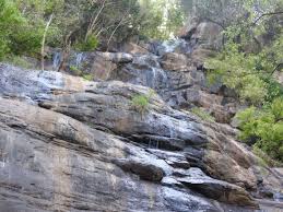 File:Kiliyur falls-12-kiliyur-yercaud-salem-India.jpg - Wikimedia Commons