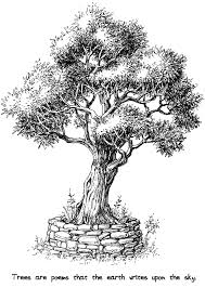 Download this full set of drawings to print and color! Relaxing Coloring With Wise Quotes Wise Tree Coloring Books Quote Coloring Pages
