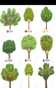 49 Fabulous Backyard Design Ideas On A Budget Garden Trees Fruit Trees Food Forest Garden