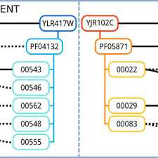 We did not find results for: Pdf Improved Multi Level Protein Protein Interaction Prediction With Semantic Based Regularization