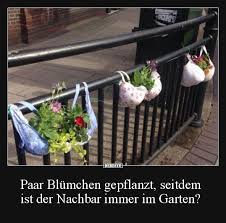 Paar Blumchen Gepflanzt Seitdem Ist Der Nachbar Immer Im Garten Lustige Bilder Spruche Witze Echt Lustig Pflanzen Spruche Garten Witzige Bilder Spruche