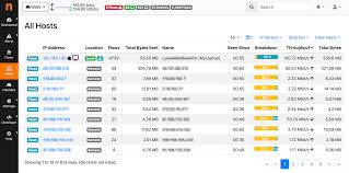 A simple website traffic checker free that gives out the necessary information on any site. Ntopng Ntop