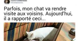 14 Manieres D Eliminer Les Taches Si Tu N As Pas De Produit Specifique Sous La Main Exercice Faire Soi Meme Motivation Pour Etudier