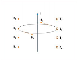 The small magnetic field caused by the current in each coil add together to make a stronger overall magnetic field. Magnetic Field Due To Current In Straight Wire Electricity And Magnetism Openstax Cnx