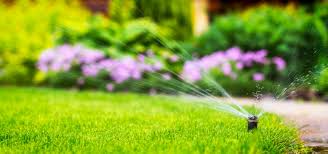 Some heads can cost as much as $30 each, and brass valves range to $100 or more. How To Replace A Sprinkler Head Lawn Care Guide By Lawn Love