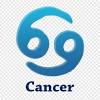 This zodiac symbol represents a crab. 1
