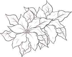 Free Printable Poinsettia Coloring Pages Google Search Coloring Pages Flower Coloring Pages Christmas Coloring Pages