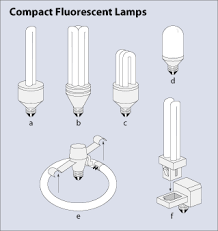 Cfl Bulbs Come In All Shapes And Sizes Compact Fluorescent Bulbs Energy Saving Light Bulbs Types Of Lighting