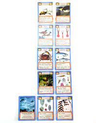 To make the game harder make it so that pairs only count when the cards are of the same number and the same color or make it so that you. Review Of Ecologies Animal Card Game By Matthew Montrose