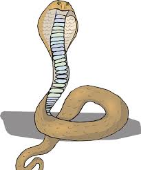 Download now siluman ular putih hd part 3 kartun bahasa indonesia. Gambar Ular Hitam Putih Kartun