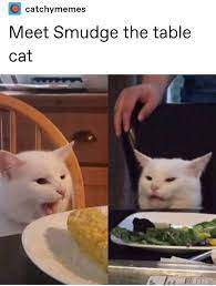 Behind The Meme Disgusted Table Cat Edition Funny Post Cats Memes Cat Memes